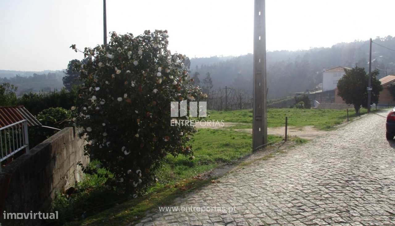 Venda Terreno, Travanca, Amarante - Grande imagem: 2/13