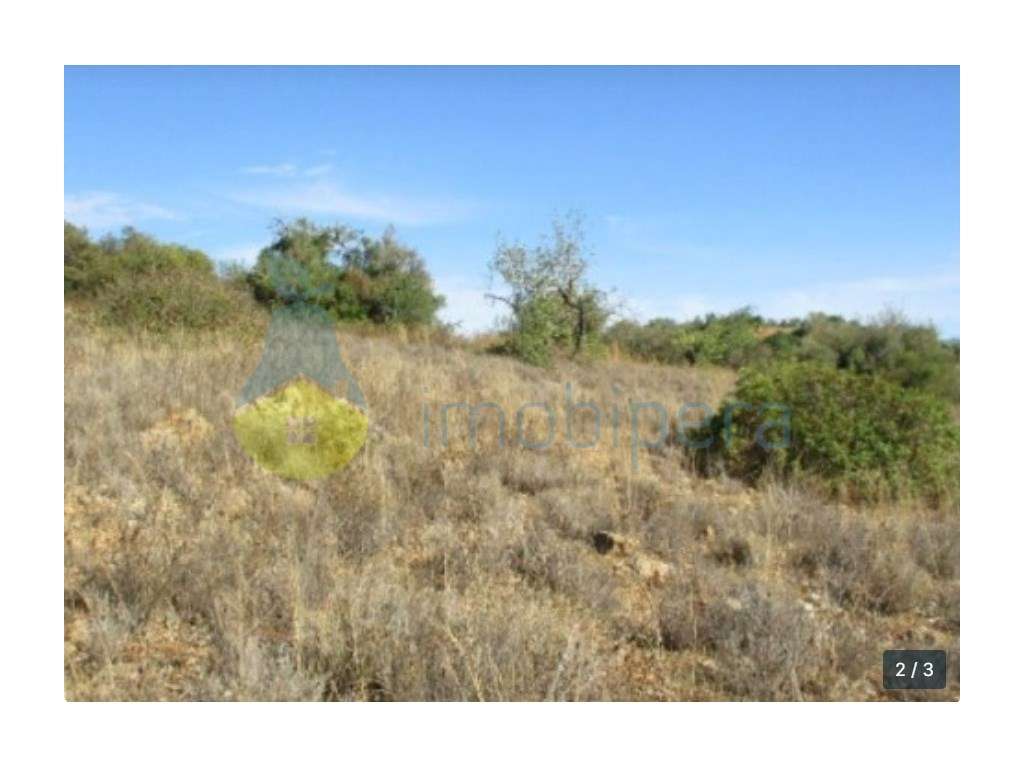 Terreno á venda próximo ao Vale Judeu - Grande imagem: 2/3