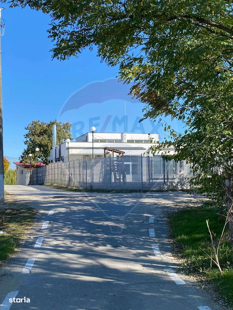 Teren 2,500mp Malu Mare / Strada BECHETULUI-3