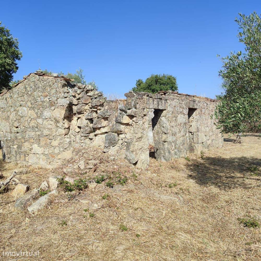Terreno Rústico com  2250m2 na Lardosa, Castelo Branco - Grande imagem: 5/9