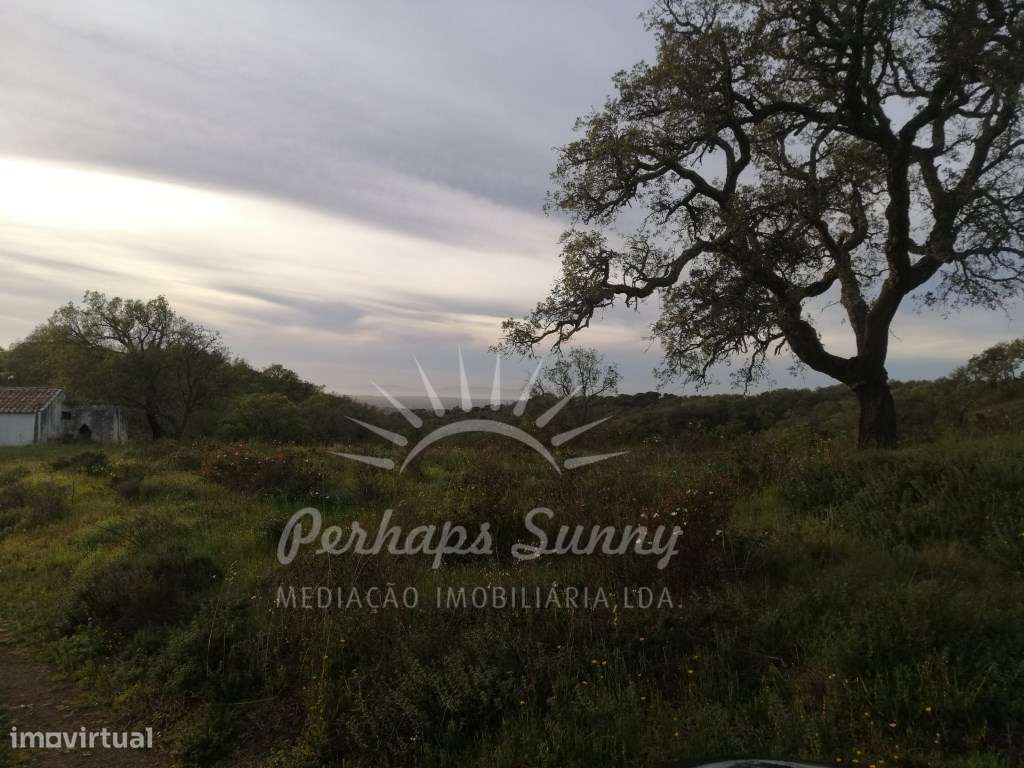 Terreno Misto Melides - Grande imagem: 5/23