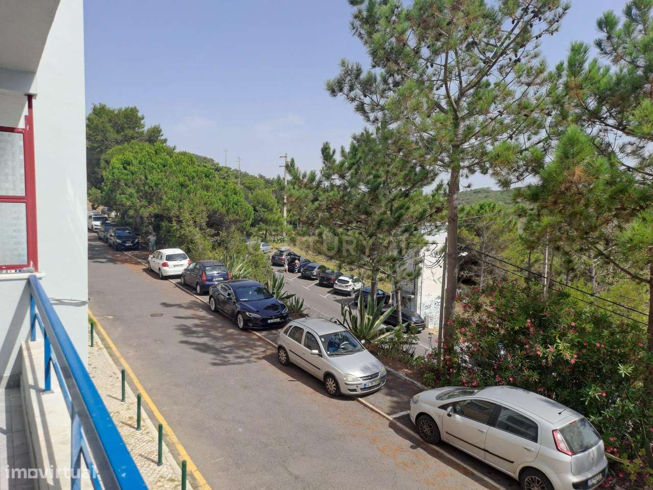 T1 | Magoito - Grande imagem: 5/23