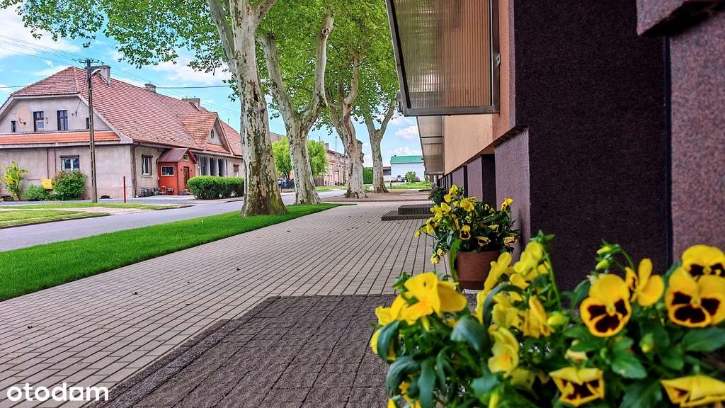 Wygodne 3 pokoje pod inwestycję dla rodziny-19