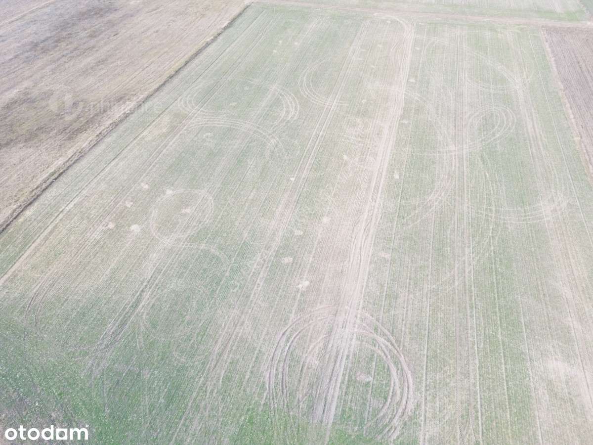 Działki budowlane na sprzedaż – Wymysłowo, Gniezno - Pełny obrazek: 4/8