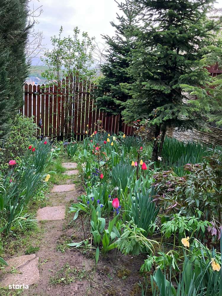 Teren + cabana, spre vanzare,/ inchiriere in zona Tudor - Imagine principală: 5/13