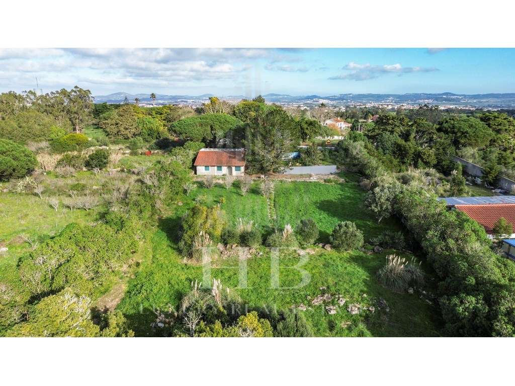 Terreno Com Projeto Aprovado | Casal da Granja | Sintra - Grande imagem: 4/28