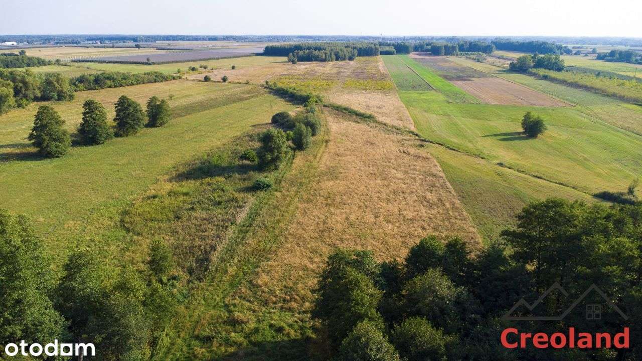 Działka z warunkami zabudowy blisko siedliska-3