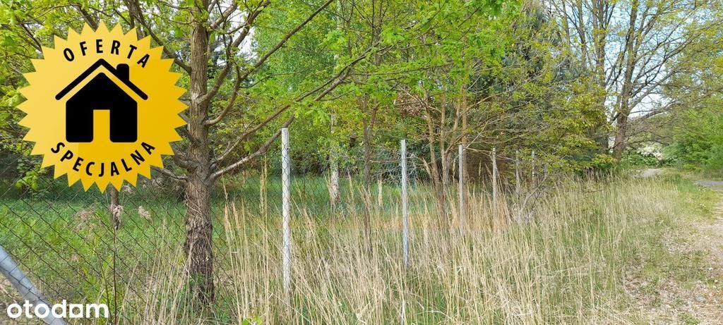 Działka budowlana pod lasem Czosnów Dębina