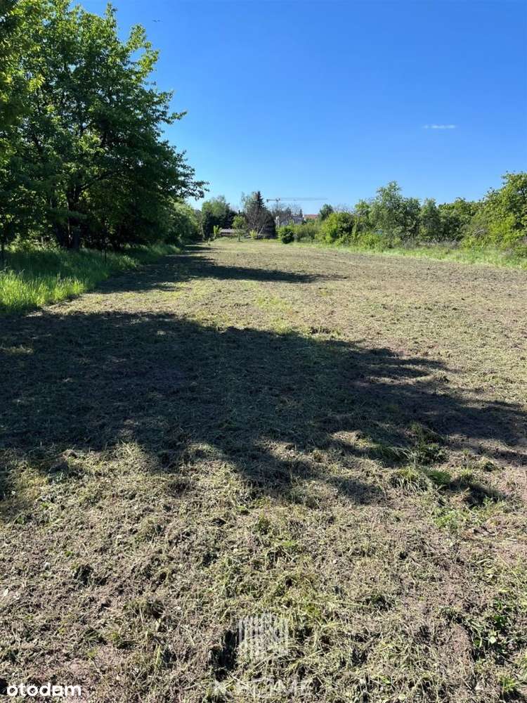 działka 5513m2 dla inwestora/Poświętne - Pełny obrazek: 2/8