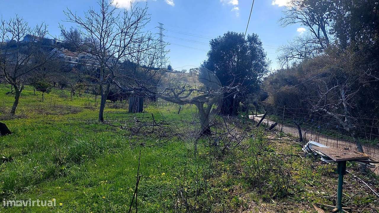 Terreno  para venda-26