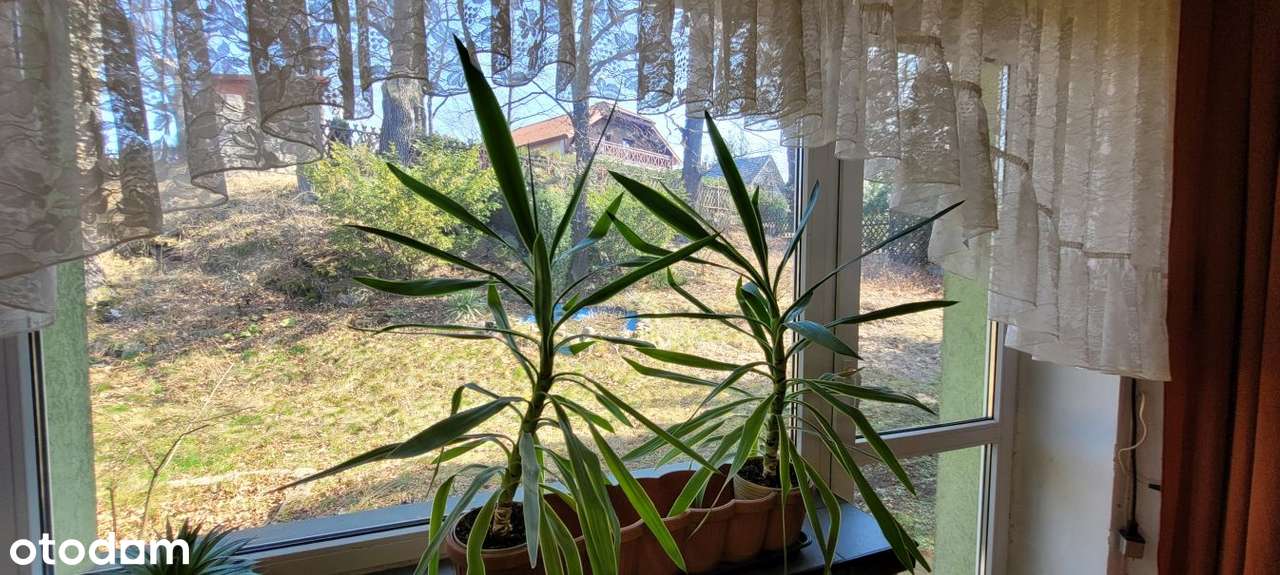 Bliźniak w Cieplicach dla zwolenników ciszy i spokoju-6