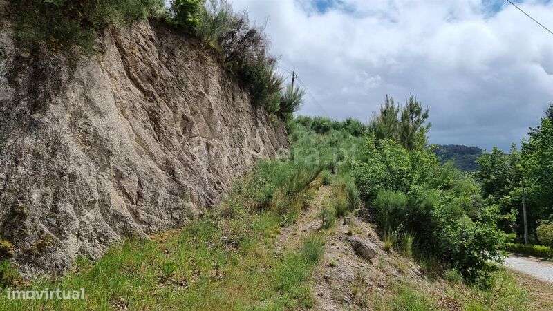 Terreno / Seia, Valezim - Grande imagem: 3/8