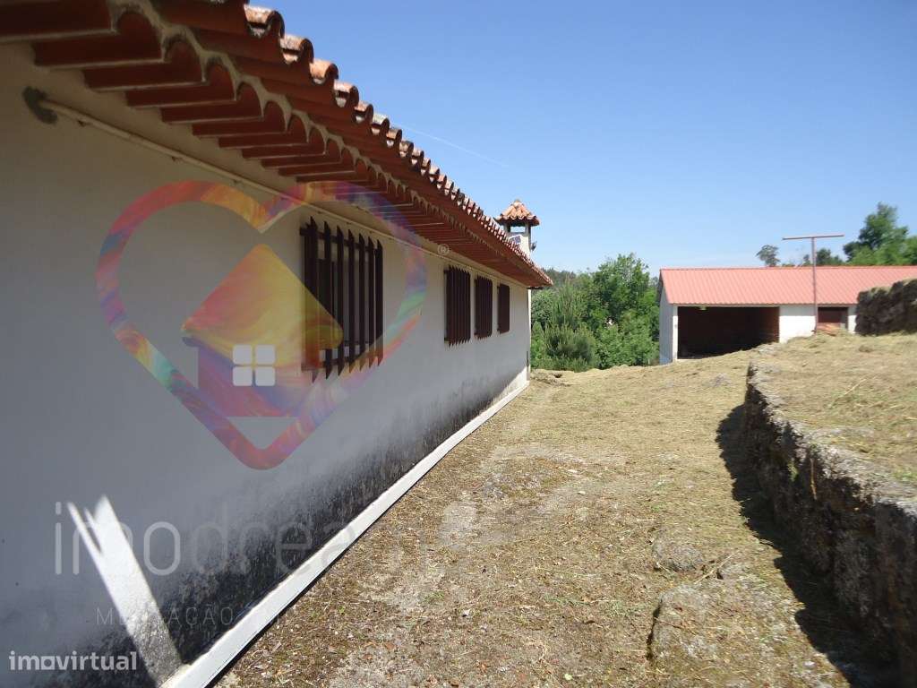 Quinta T6 em Santa Comba Dão - Viseu-52