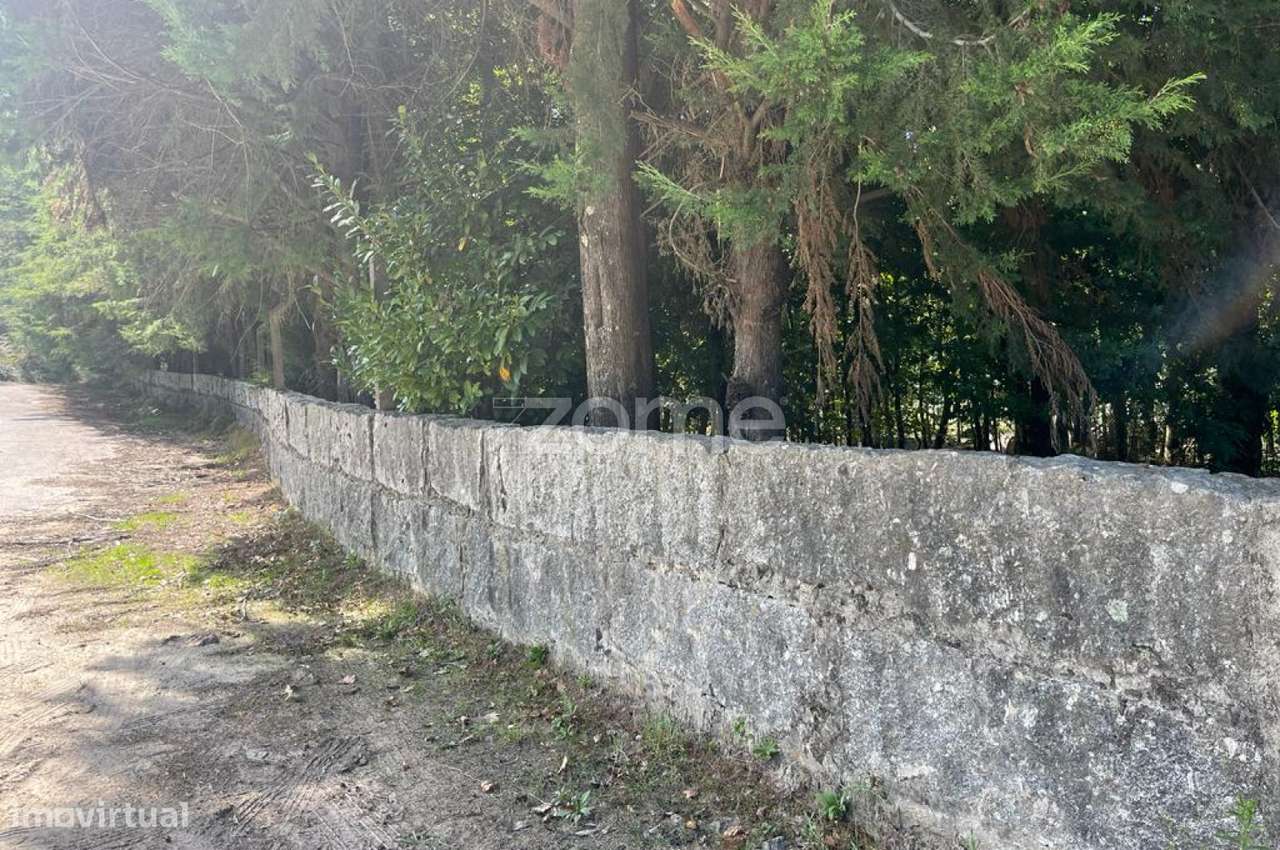 Terreno com 10 000M2 em, Sanfins, Paços de Ferreira - Grande imagem: 2/25