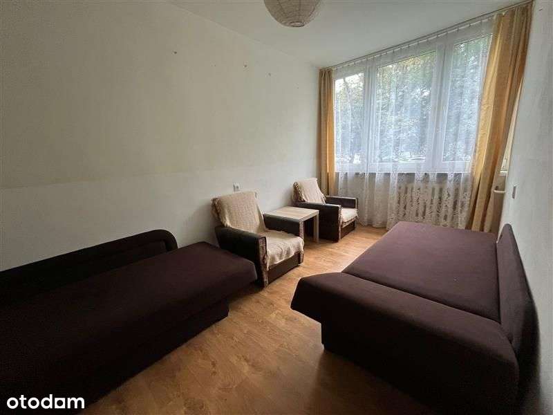 Stysia/2 pokoje/rozkład/niska zabudowa/m.miejskie-2