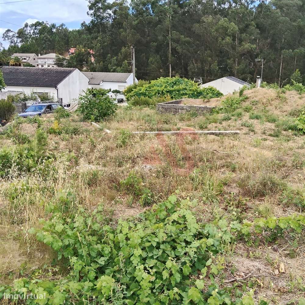 Terreno Rústico Urbanizável com 3.834 m² em Silvares (S. Martinho), Fa - Grande imagem: 4/21