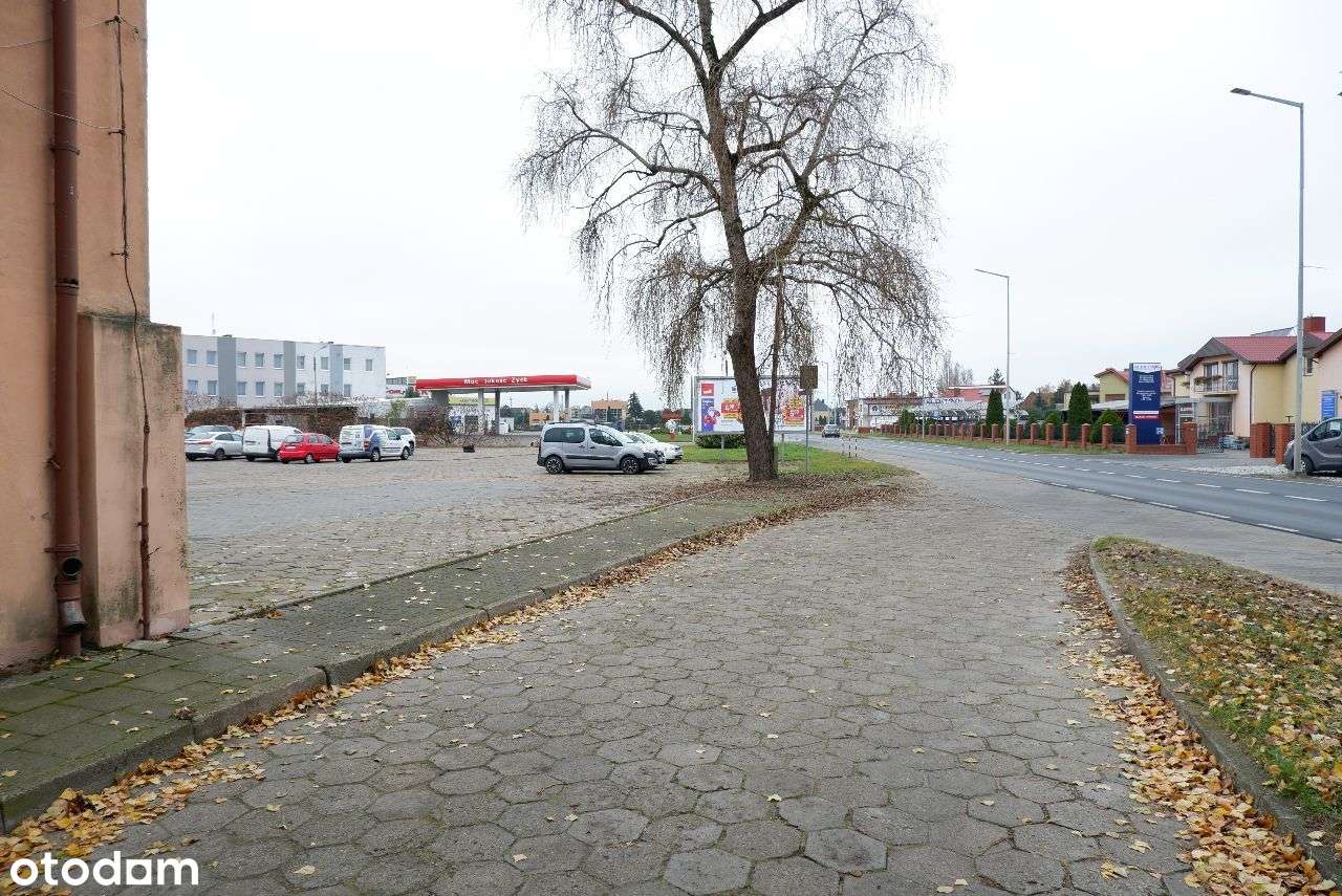 Hala * magazyn * garaż * - Pełny obrazek: 4/8