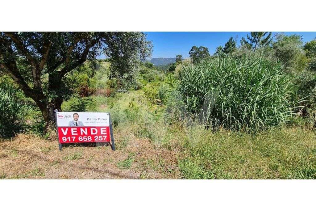 TERRENO 2100M2 | VIABILIDADE 1 / 2 MORADIAS | PRIVACIDADE | 10 MINUTOS - Grande imagem: 2/23