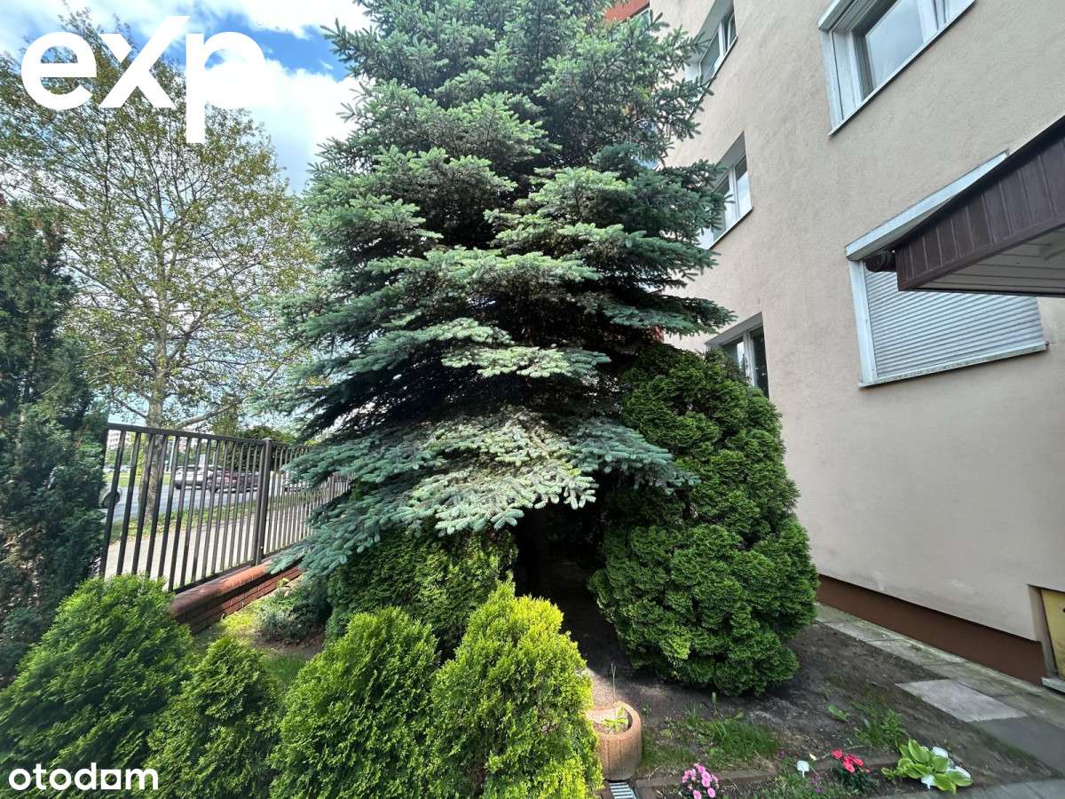 Apartament w centrum z loggią,, ogrodzony teren. - Pełny obrazek: 2/20