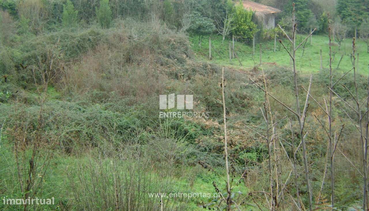 Venda Terreno, Avessadas, Marco de Canaveses - Grande imagem: 4/32