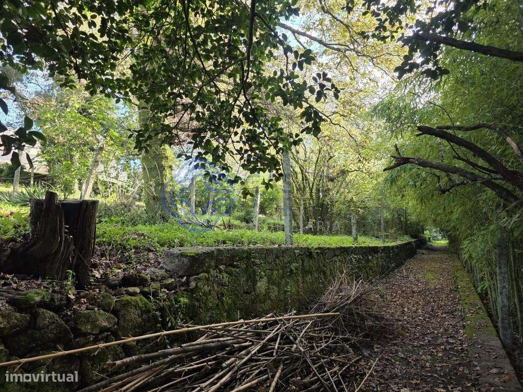 Terreno Urbanizável com 3.500 m2 para Construção – Santo Tirso - Grande imagem: 5/19
