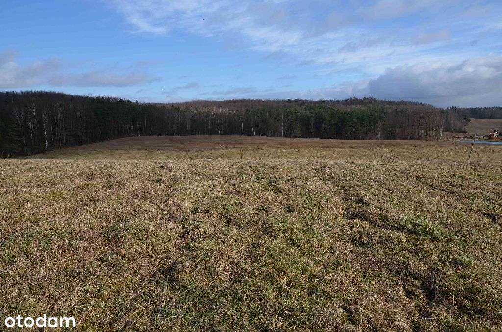 Działka budowlana - Sucha Huta-0