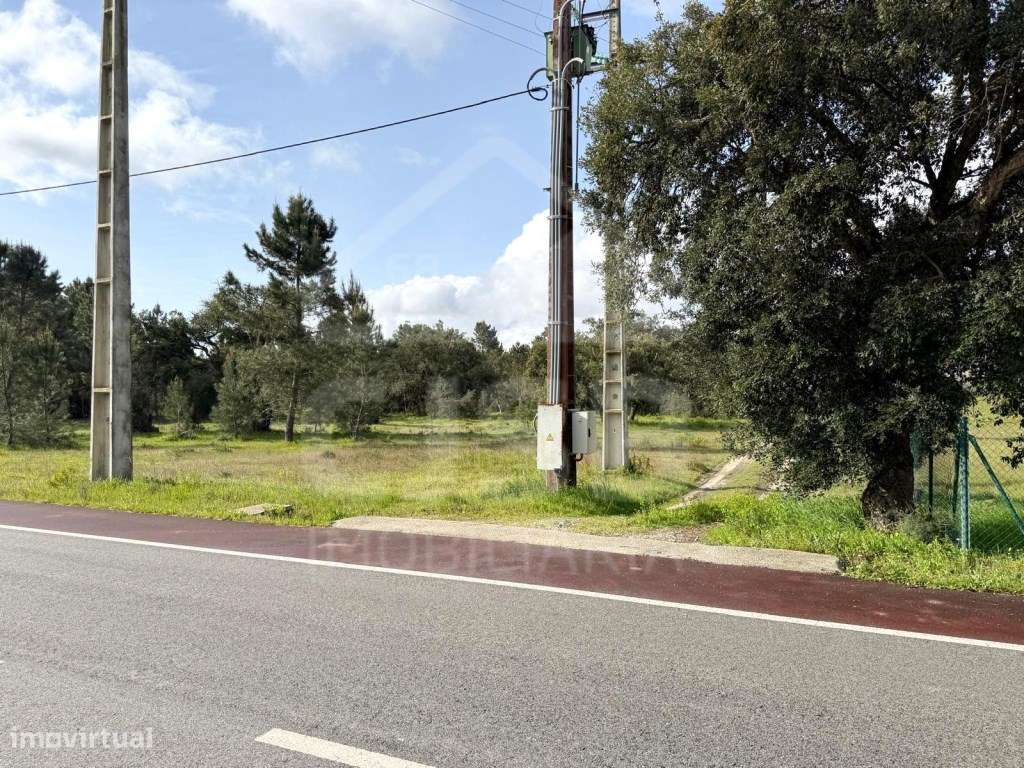 Oportunidade - 5 ha | Zona Industrial Salvaterra de Magos-11