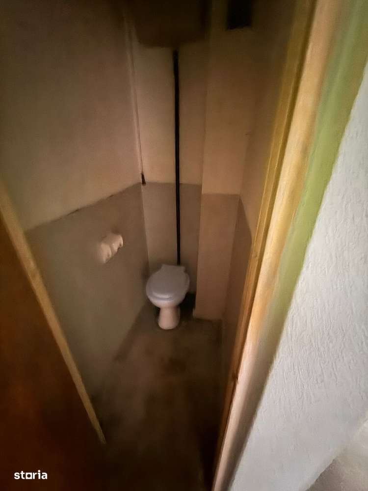 Apartament 3 camere Craiovei - Imagine principală: 4/7