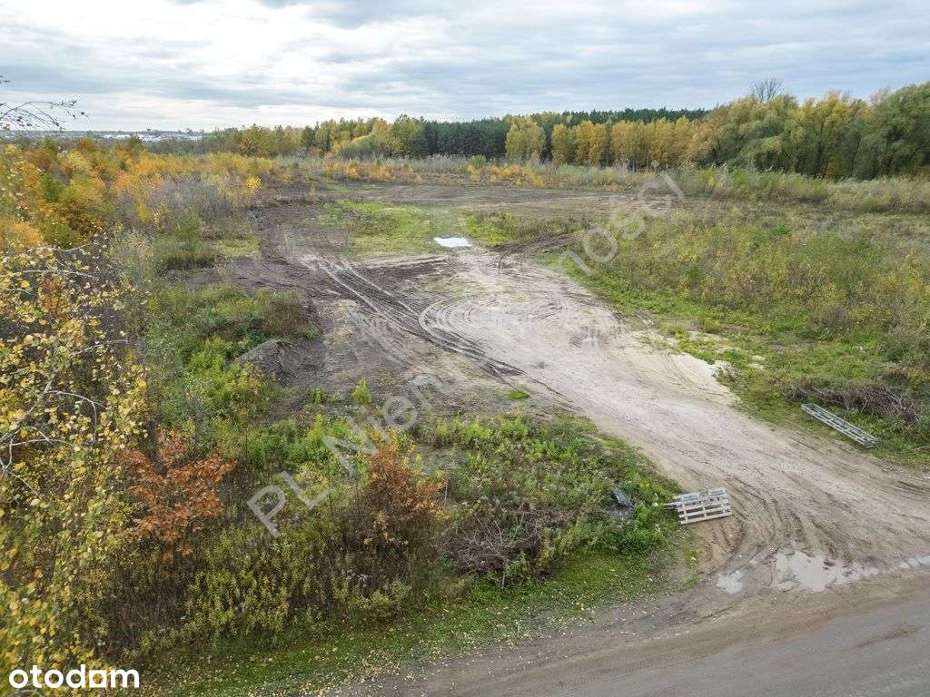 4ha pod osiedle w Żółwinie! - Pełny obrazek: 4/7