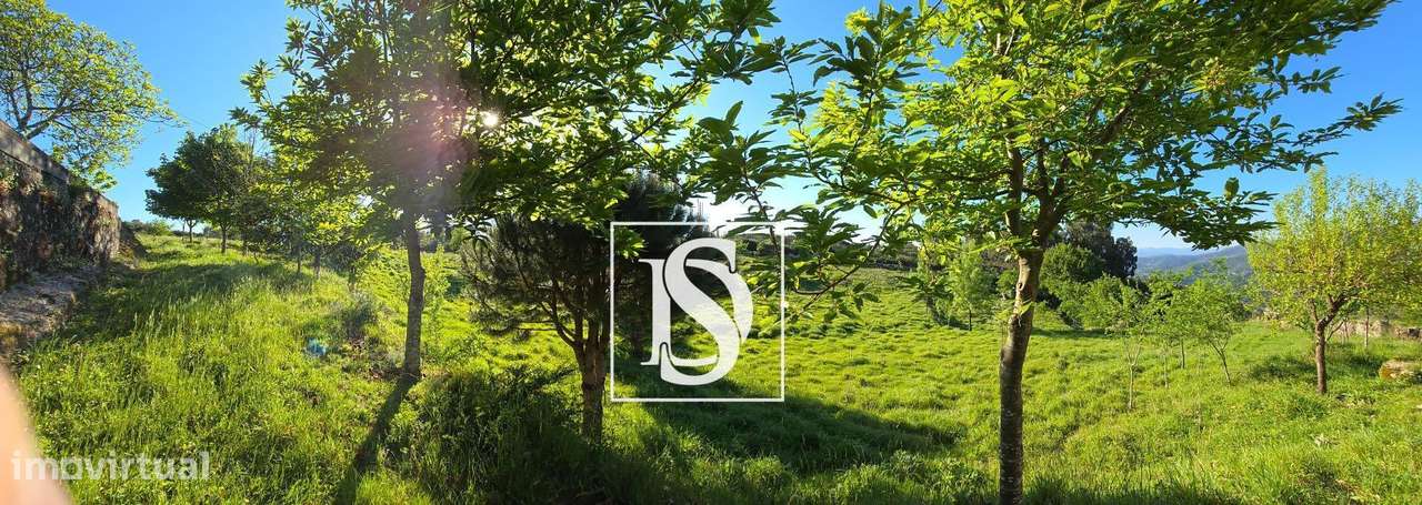 MORADIA T1 RENOVADA COM 10.000 m² – BUSTELO, AMARANTE-35