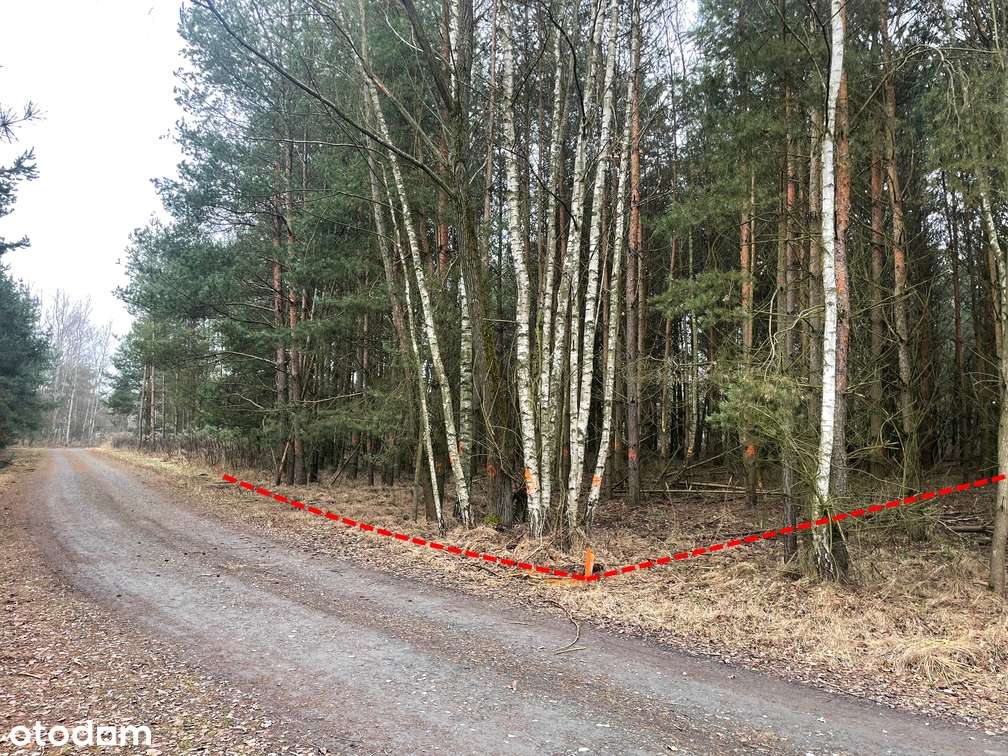 Piękna działka budowlana – Orzesze Zgoń, ul. Lisów - Cena z VAT - Pełny obrazek: 5/7