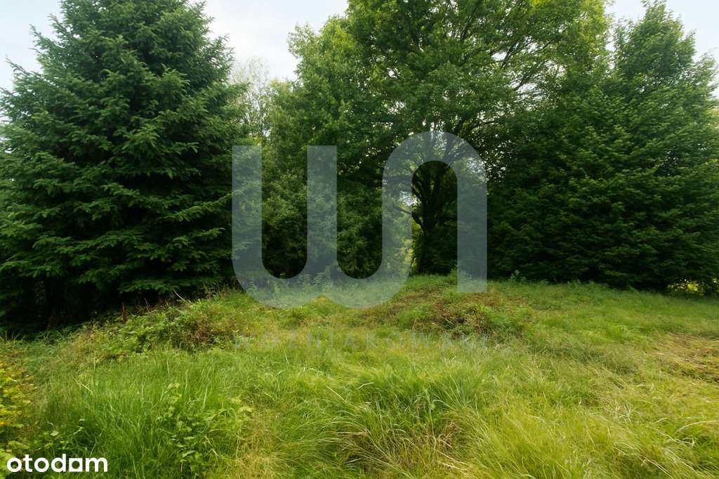 Kamienica / Centrum Mikołowa / Super lokalizacja - Pełny obrazek: 4/8