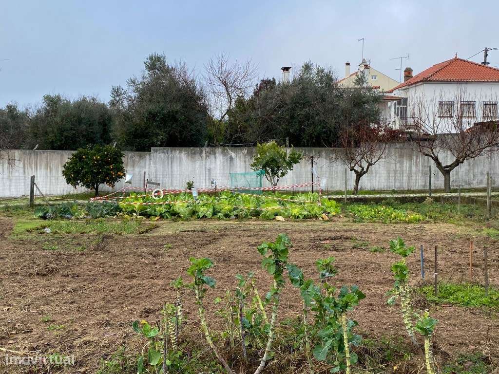 Moradia Independente Em Escalos De Baixo-58