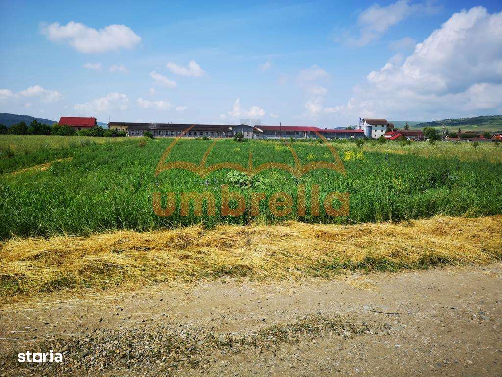 Teren de vanzare in  Gherla, Strada Dejului 4.060 mp - Imagine principală: 4/6