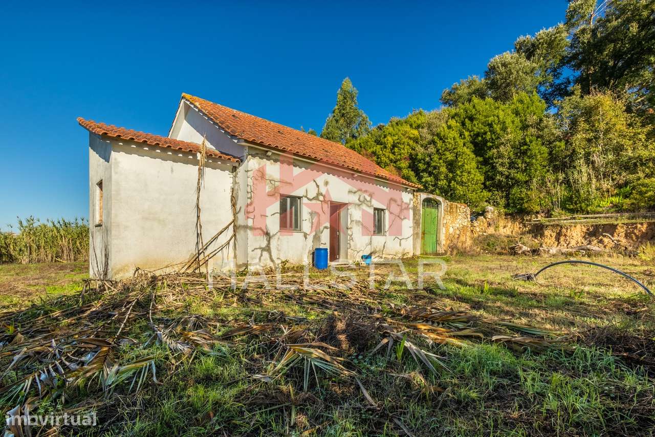 Quinta T3 em Remodelação / Terreno com 9.323m2 / Boa Vista-6