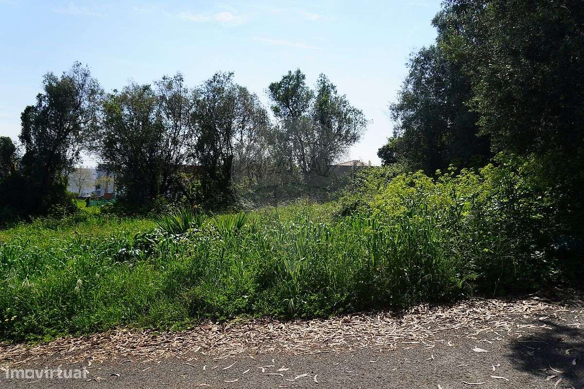 Terreno  para venda - Grande imagem: 4/22