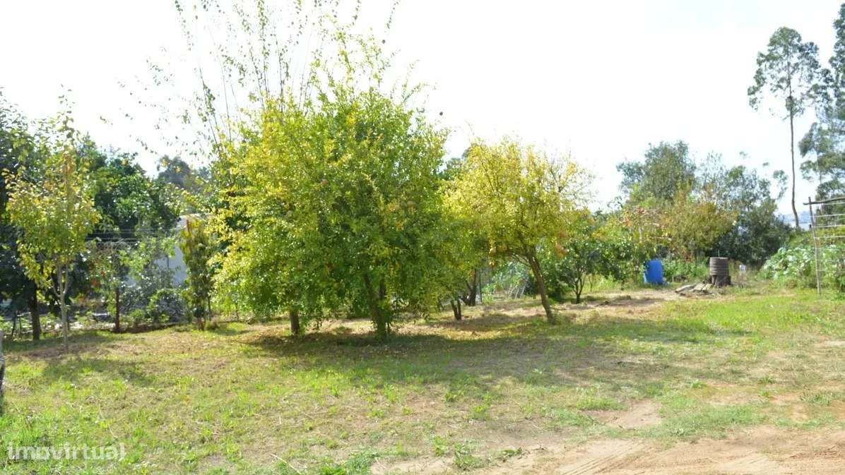 Lote p/ construção de moradia isolada - Grande imagem: 5/9