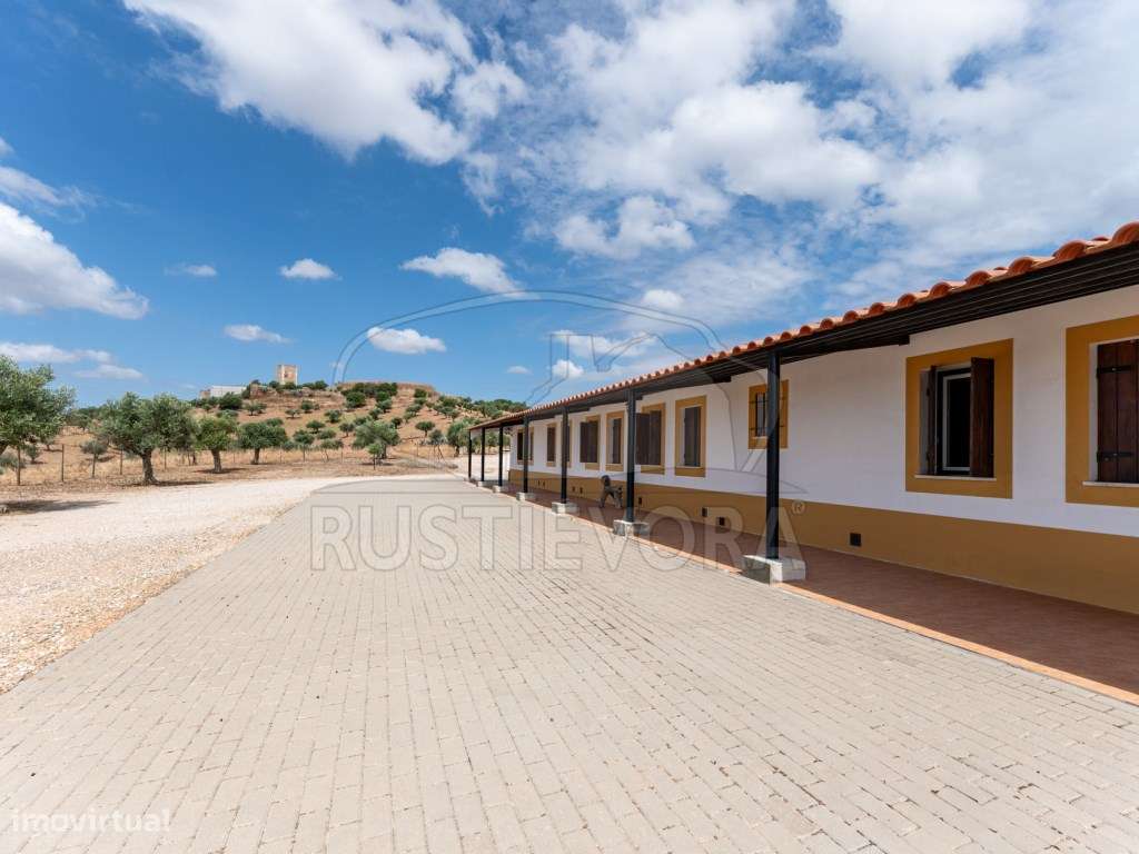 Quinta em Portel - 4,3 Ha de Tradição e Conforto-30
