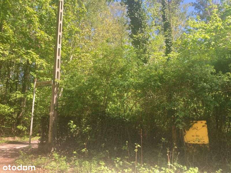 Atrakcyjna działka w Magdalence ul. Grójecka - Pełny obrazek: 5/6
