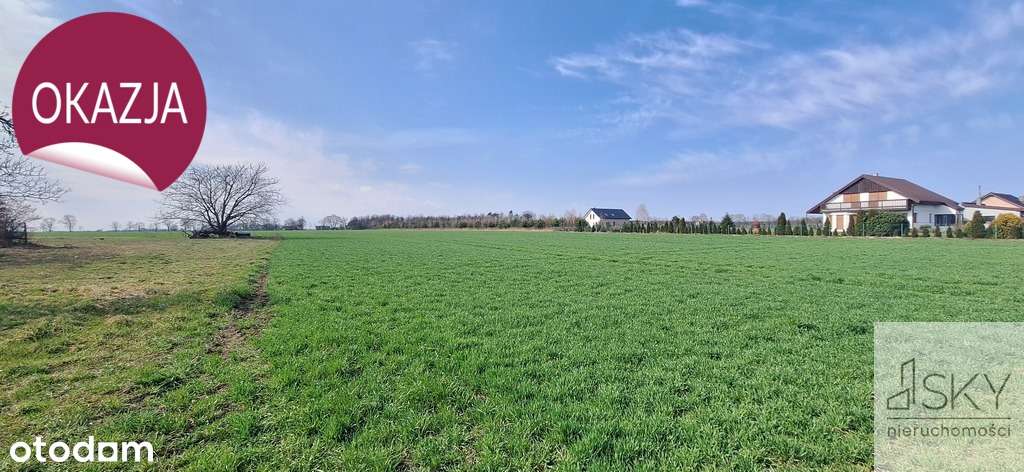 Miodary k. Oleśnicy, działki z warunkami zabudowy - Pełny obrazek: 3/11