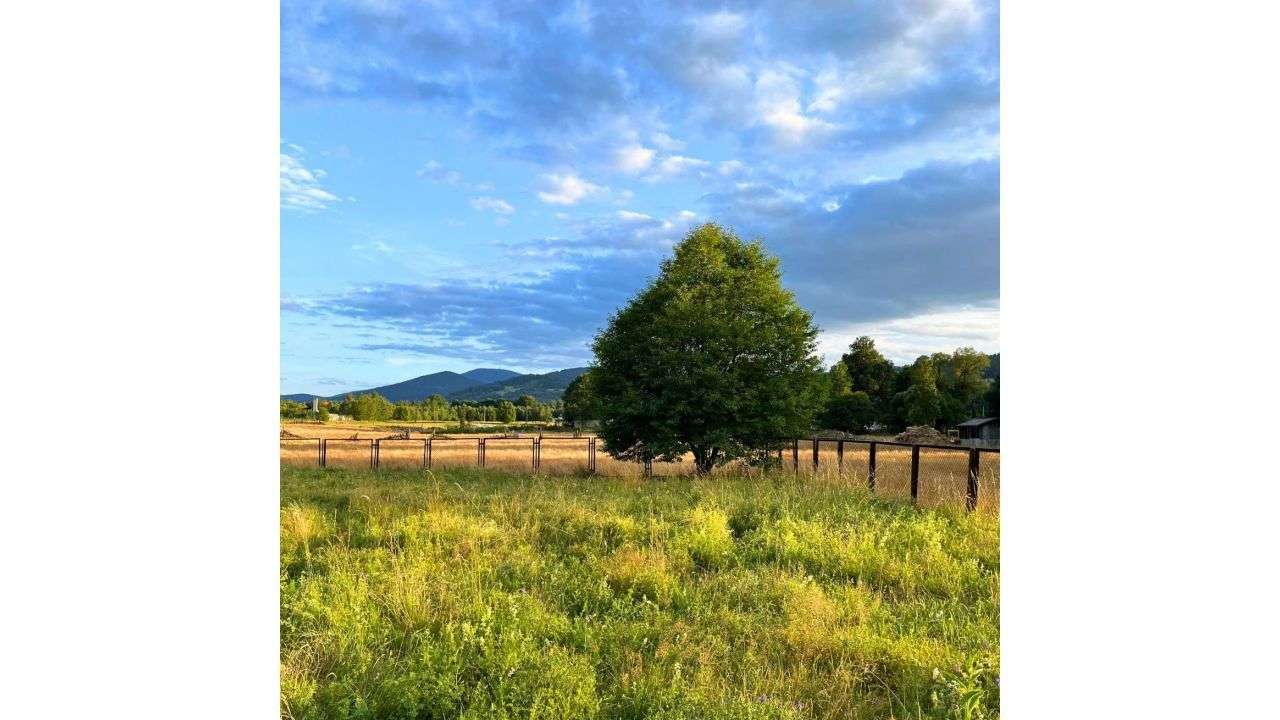 Działka inwestycyjna z widokiem na góry – wyjątkowa lokalizacja-7