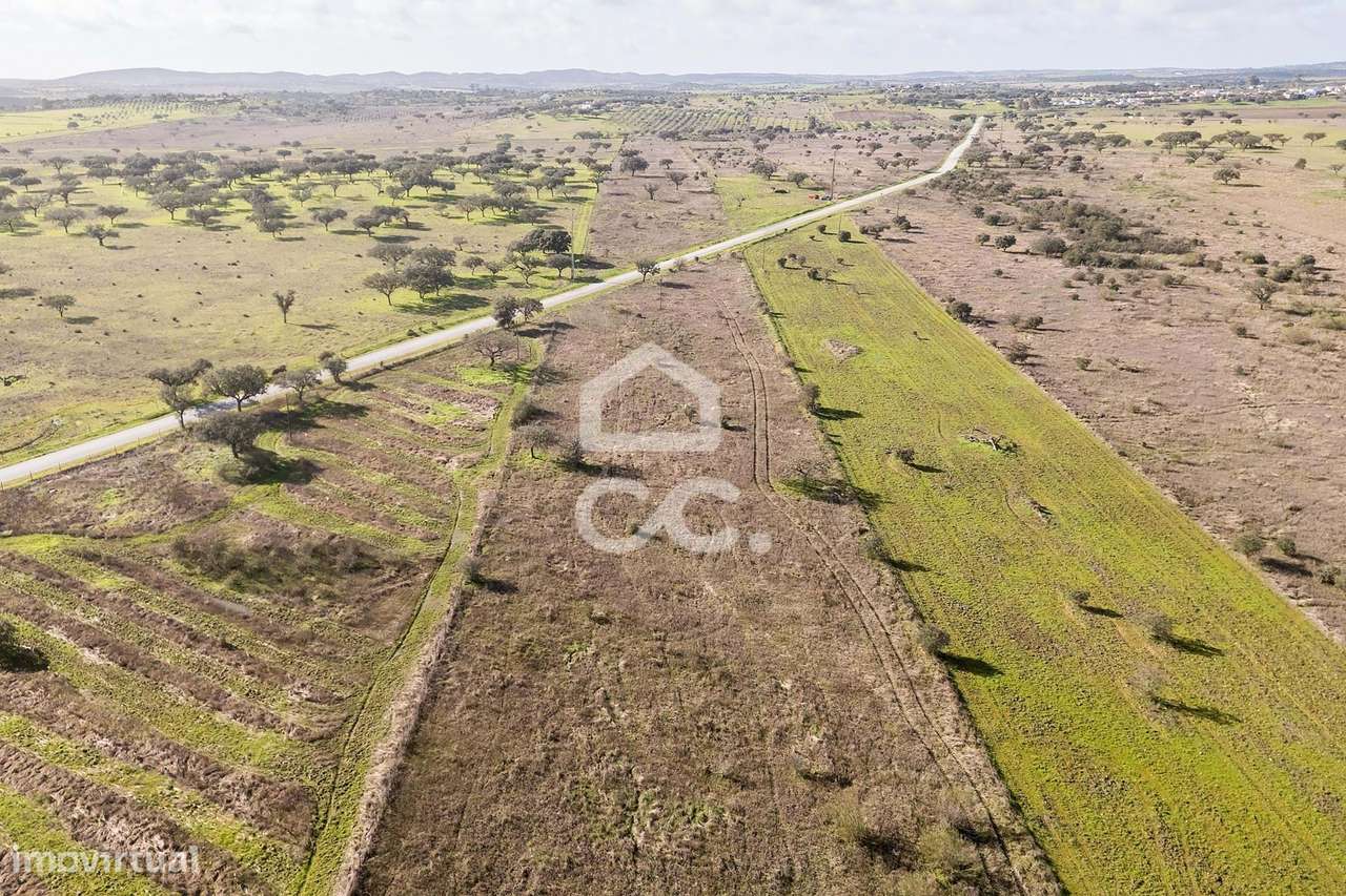 Terreno de 5,4 ha c/ Viabilidade de Construção | Capelins, Alandroal-27