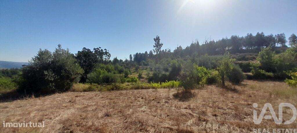 Terreno em Seixo da Beira de 3000,00 m2 - Grande imagem: 5/25