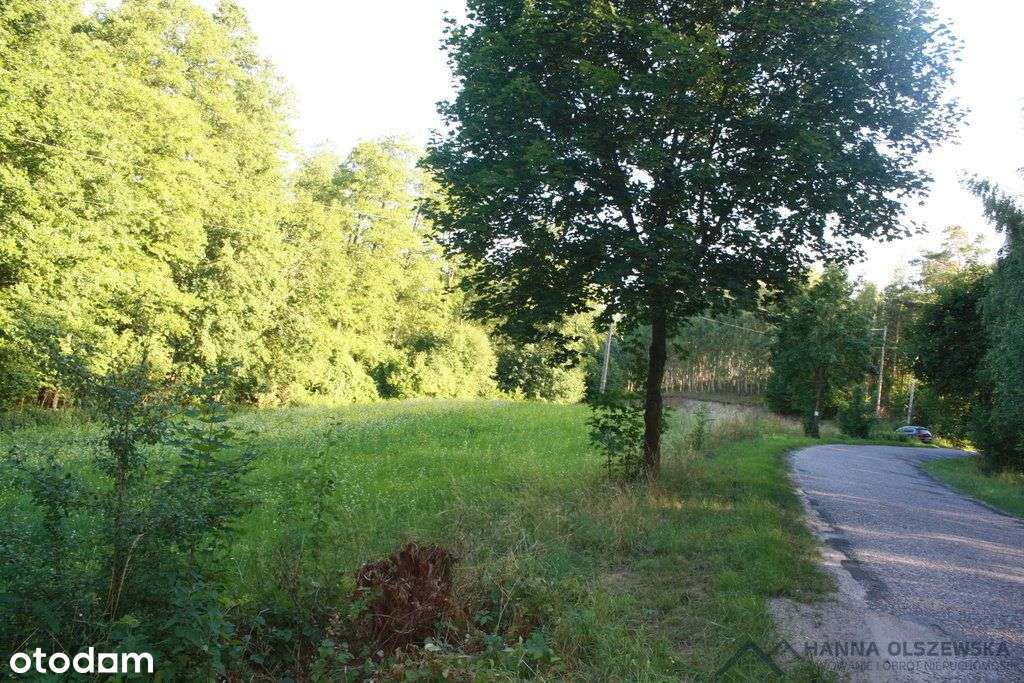 Działka z lasem, stawem i strumykiem o pow. 10 ha - Pełny obrazek: 5/20