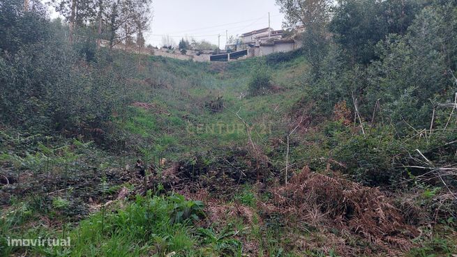 Terreno Rustico em Crestuma, Vila Nova de Gaia-0