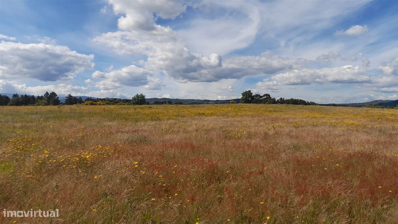 Herdade T0 Venda em Enxames,Fundão-6