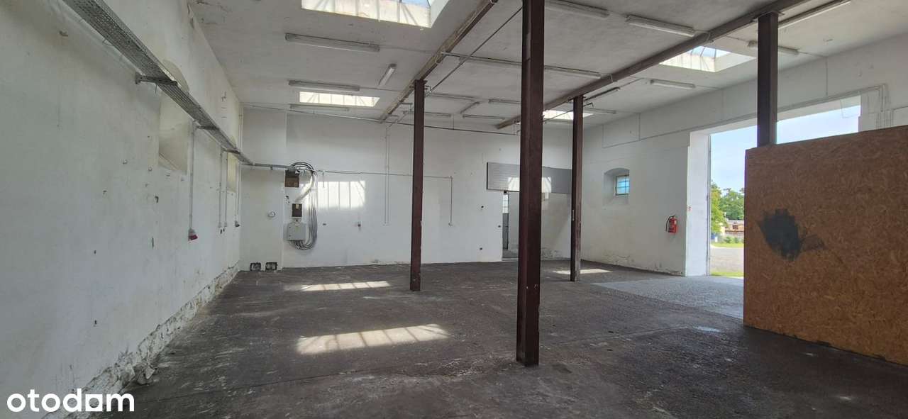Hala na wynajem z monitoringiem i parkingiem - Pełny obrazek: 2/11