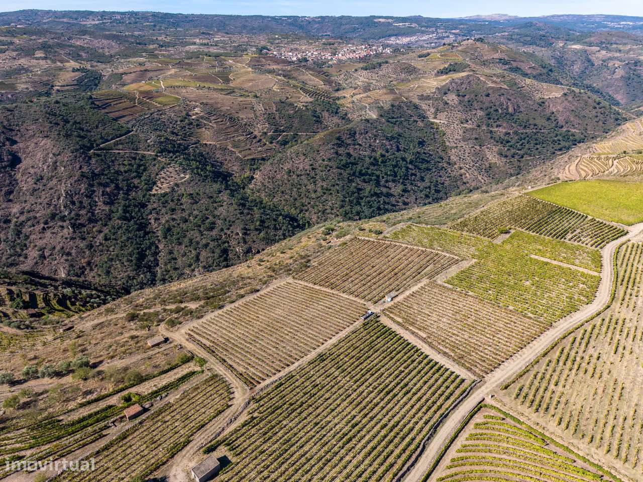 VINHA À VENDA EM MURÇA – REGIÃO DEMARCADA DO DOURO-9