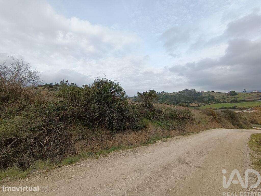 Terreno em Vila Verde dos Francos de 14040,00 m2 - Grande imagem: 4/25
