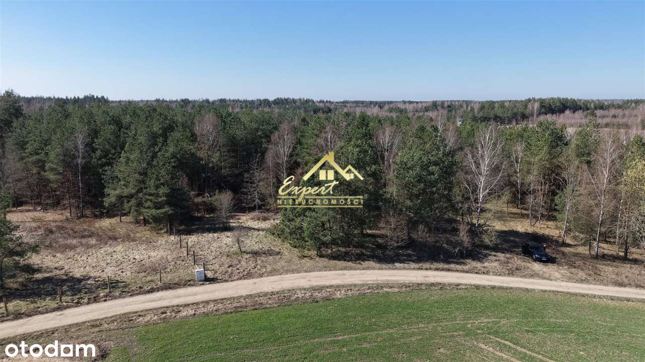 Sprzedam atrakcyjną działkę w Kotkowie - Pełny obrazek: 4/5